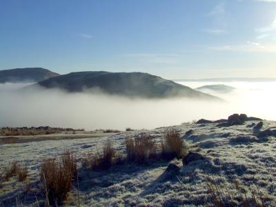 165 CLYWEDOG VALLEY MIST.jpg